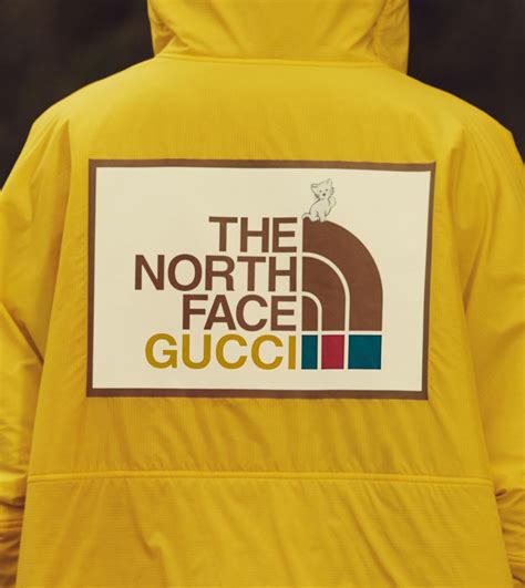 the notth face gucci|the north face gucci collection.